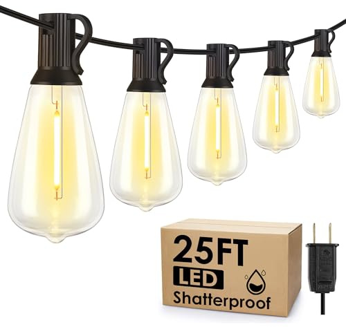 Larkvue 25FT Outdoor String Lights, Patio Lights with 10+1 LED Dimmable Waterproof Shatterproof ST38 Retro Edison 2700K Bulbs for Balcony Yard, Black