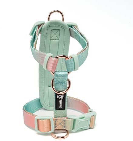 TSPRO Hundegeschirr Mittelgroße Hunde, No Pull Hundegeschirr Leichtes Gewicht Adjustierbar Gradientfarbe Geschirr für Hunde mit Schnellspanner Atmungsaktiv und Langlebig (Gelb Grün, Größe 2)