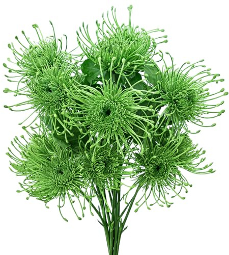Ovveroche 6PCS Green Artificial Fake Mums Spring Faux Pincushion Flower Spider Mum Flower for Holiday Table Centerpiece Home Party Decoration