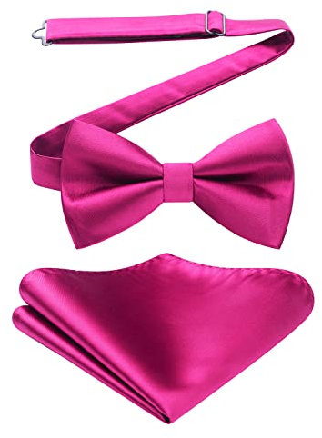 HISDERN Herren Fliege Vorgebundene Fliegen für Herren mit Taschentuch Set Einfarbig Herrenfliegen für Hochzeit Karneval