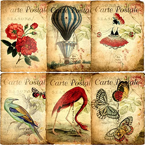 Carte Postale Lot de 6 feuilles de papier de riz 20,32 x 26,67 cm - Différentes images imprimées en papier de mûrier 30 g/m² - Fibres visibles pour découpage, travaux manuels, collage d'art