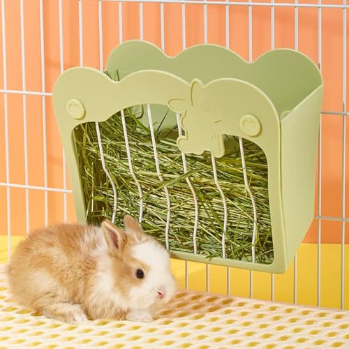 Norhogo Mangeoire Lapin, Râtelier à Foin Suspendu pour Petits Animaux Chinchilla, Cochon d'Inde Vert
