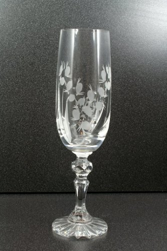 ZAW Set di 6 bicchieri da spumante di cristallo champagne prosecco cristallo al piombo 24% bicchiere da spumante