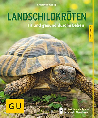 Landschildkröten: Fit und gesund durchs Leben
