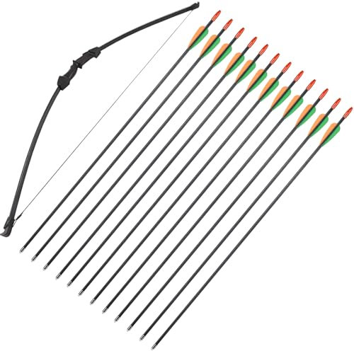 Pfeil und Bogen Set Takedown Recurvebogen und 12er Fiberglaspfeiles für Junior Jagd Anfänger Linke und rechte Hand 15LBS