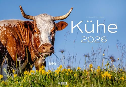 Kühe Kalender 2026 Wandkalender: Der Tierkalender mit den charmanten Namen