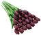 Tifuly 24 Piezas de Tulipanes Artificiales de látex, Ramos de Flores Falsos de Tulipanes realistas para el hogar, Bodas, Fiestas, decoración de oficinas, arreglos Florales (Rojo Oscuro)