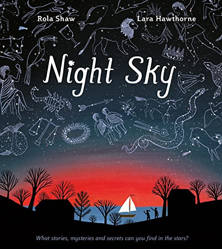 Night Sky: Be the next Brian Cox this Christmas and discover the extraordinary mysteries of the night sky in this captivating STEAM book!