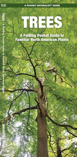 Trees: A Folding Pocket Guide to Familiar North American Plants (Nature Observation North America)