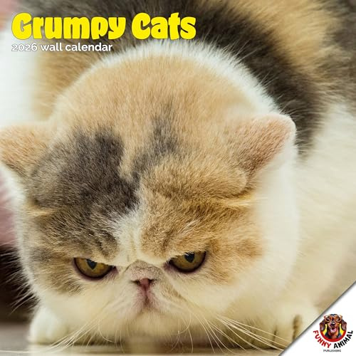 Dayplanner Publishing Grumpy Cats kalender 2026, stor fyrkantig väggkalender, 16 månader, Grumpy Cats gåva djurkalender
