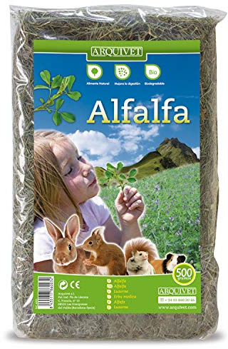 ARQUIVET Luzerne pour rongeurs 500 g - Nourriture pour lapins, cochons d'Inde, Hamsters, Chinchillas - Alimentation naturelle - Fourrage pour petits mammifères - Aliment nutritif riche en vitamines et