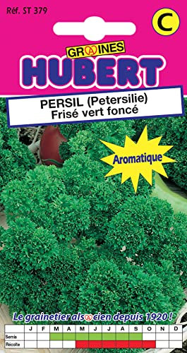 Graines de Persil Frisé vert foncé - 6 grammes