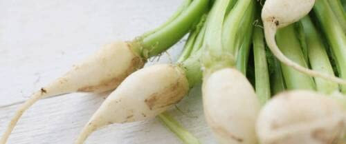 50 SEMI DI RAPA DELLE VIRTU':Seeds