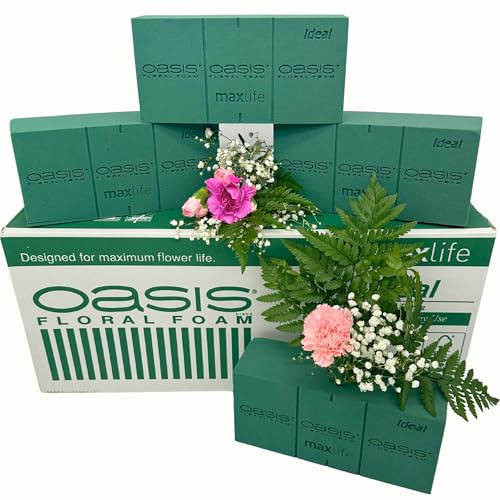 Homeland Florists Oasis Flower Foam 4 Pack, Green, 22x11x7.5cm
