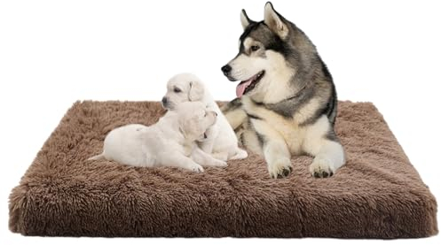 Hundebett Grosse Hunde, Hundekissen Plüsch Waschbar Hundekorb, Anti-Angst Hundebetten Zwinger-Auflage, Orthopädisch Anti-Rutsch Hundesofa Haustierbett Hundematratze Welpen Kissen(120x80x10cm)