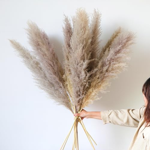 12 Piezas Hierba de Pampas Natural 114Cm Hierba de Pampas Secas Decoracion Grand Plantas Secas para Sala De Estar, Hogar, Piso, Jarrón, Decoración Boho（Gris）