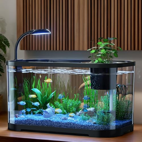 Aquarium Starter Set | Desktop-Aquarium Set | Tischaquarium Für Anfänger | Dekoratives Schreibtischbecken | Für Kampffische, Schildkröten & Frösche | 30x20x19cm | 2 Farben