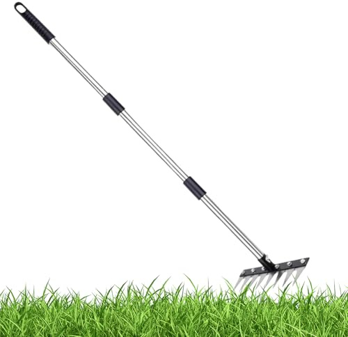 Rastrillos para Césped | 8 Púas Acero Inoxidable Rastrillo Desenmalezador | Herramienta de Jardinería para Desherbar | para Césped Jardín Agricultura Paisaje Exteriores Patio Forestal
