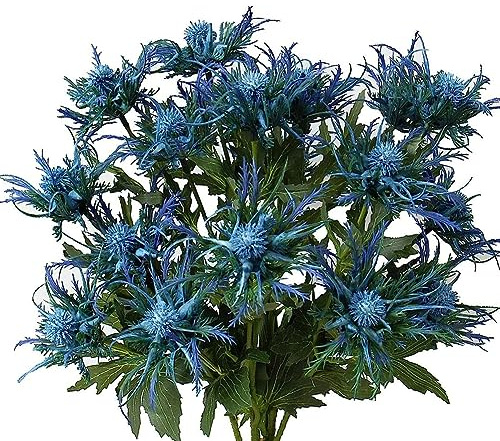 Fermus 5 Stems Artificial Thistle Flowers 5 Branch Real Touch Blue Thistle Decor 26 Inch Real Size Rustic Spray Eryngium Sea Holly for Wedding Bouquet Centerpiece (5 Branch)
