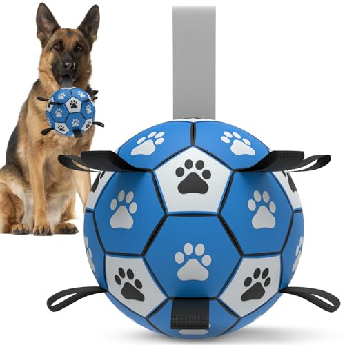 HETOO Hundboll hundleksak boll med rep hundfotboll (9 tum blå) | Interaktiv hundboll för turing, hållbar hög hopp, flytande boll för hundar, födelsedagspresenter, inomhus, utomhus