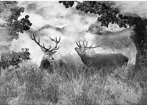 Runa Art Papel tapiz fotográfico ciervos naturales 352 x 250 cm Lana Fondo De Pantalla XXL Moderna Decoración De Pared Sala Cuarto Oficina Salón Negro y blanco 9272011b