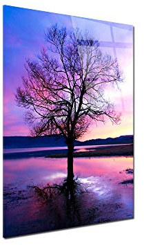 DECLINA – Tableau Mural l'Arbre et L'étang – Cadre Paysage Nature Atmosphère Apaisante – Impression HD Sur Verre Acrylique – Atelier Français