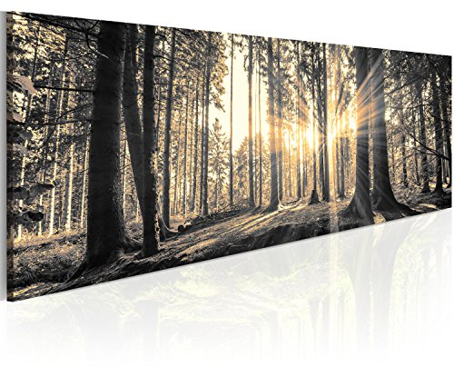 murando - Impression sur Verre Paysage 135x45 cm 1 Partie - Imprimée Tableau Photo Image Pret a Accrocher Murale Moderne Décoration -Forêt en Noir et Blanc avec Lumière Naturelle c-B-0077-k-c