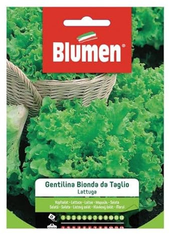 BLUMEN SEMENTI, LATTUGA GENTILINA BIONDA DA TAGLIO