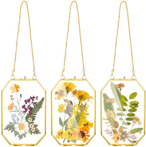 AVLA 3 Pack Pressed Flowers Glass Frames, Small Brass Floating Frame with Chain, Golden Hanging Picture Frame, Clear DIY Handmade Home Wall Decor for Displaying Artwork Dried Plant Specimen
