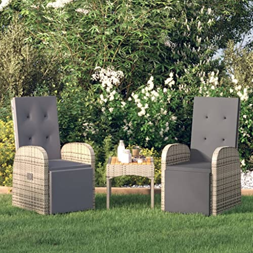 HaoChrymec Chaise Longue Jardin, 2 Pièces en Rotin Synthétique, Fonction Inclinable avec Coussins, Structure Acier Renforcé, Fauteuil Jardin Exterieur,Couleur Gris, Dimensions 57x133x90 cm