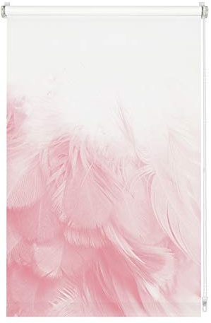 GARDINIA Estor enrollable sin taladrar, Para fijar, Opaco, Protección de la intimidad, Protección antideslumbrante, Incl. piezas de montaje, Impresión digital Plumas, Blanco/Estampado, 100x150 cm