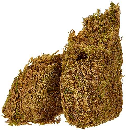 Glorex 6 2220 304 – tallrikar, 30 g påse, mosblad i saftig grön, för dekoration, modellbyggnad och krusning