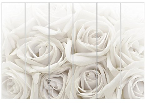 Bilderwelten Schiebegardinen Weiße Rosen - 6 Flächenvorhänge Deckenhalterung 6X 250x60cm