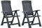 vidaXL 2X Gartenstuhl Verstellbar Klappstuhl Klappsessel Stuhl Campingstuhl Hochlehner Stühle Gartenstühle Gartenmöbel Kunststoff Anthrazit
