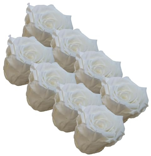 your castle Infinity Rosen | Ewige Rose | 8 Stück gefriergetrocknete Rosen in Weiß | Konservierte echte Blumen, die nie verwelken | Deko | Tischdeko
