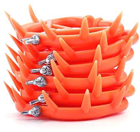 CAXUSD Nasenringzange für Vieh rostfrei stainless steel | NetzShopping