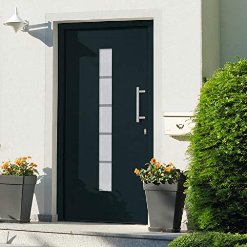 vidaXL Eingangstür Haustür Nebeneingangstür Wohnungstür Außentür Tür Kellertür Mehrzwecktür Schlüsselsatz Alu Aluminium PVC Anthrazit 100x200cm