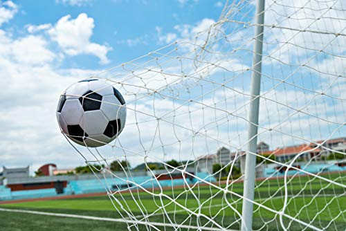 LA RETE Calcio Ridotto 4X2 Coppia REGOLAMENTARE