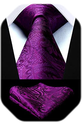 HISDERN Cravatta Viola Paisley Cravatta Uomo Elegante Set Cravatte Seta e Fazzoletto da Taschino Classiche per Matrimonio Festa Lavoro