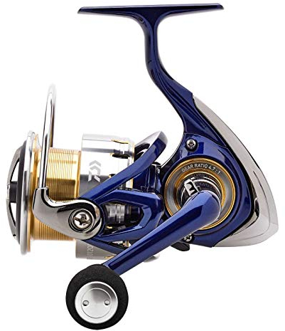Daiwa TDR Match & Feeder 3012QD Angelrolle