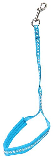 Groom Professional Allon Basic Noose With Padding Paw Print Cyan Blue 45cm