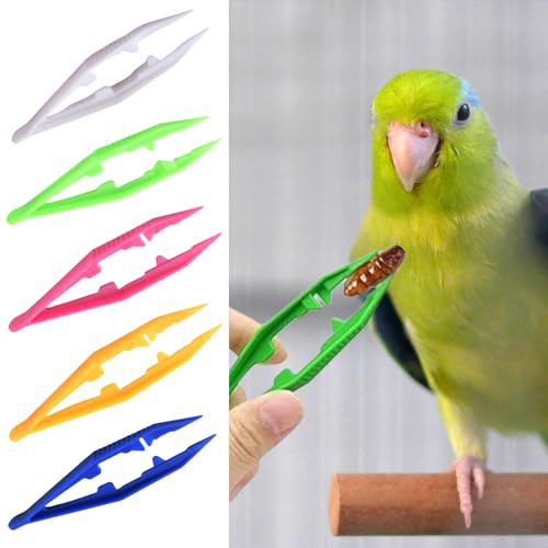 Plastic Tweezers for Reptiles - 5 Pcs Tongs for Snakes, Lizards, Tortoises & Geckos - Kids Tweezers for Beads & Crafts
