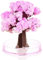 UKD Albero di Sakura Magico: Fiore di Ciliegio Romantico, Cristallo Magico, Albero di Natale in Fiori, Bonsai Sakura