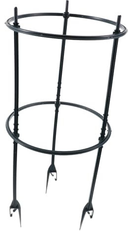 ANDRESLAD Scaffale Supporto Verticale per Piante Rampicanti in Astine Anelli Mensola per Vasi da Giardino e Interno Protezione per Steli Fragili di Fiori e Piante Rampicanti