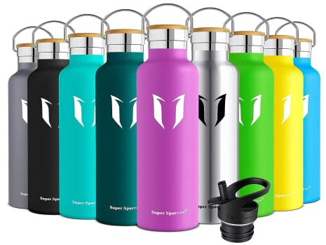 Sparrow Insulated Water Bottle with Straw - Metal Water Bottles 1L