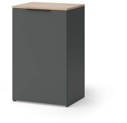 Vicco Credenza Wido, Antracite, 50 x 80 cm con ripiano, per la conservazione e l'organizzazione salvaspazio