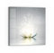 DEQORI Glasbild Echtglas | Motiv Funkelnde Lotusblüte | quadratisch einteilig 50x50 cm | schöne Dekoration | Wandbild für Wohnzimmer, Schlafzimmer, Flur & Küche | moderne Wanddeko