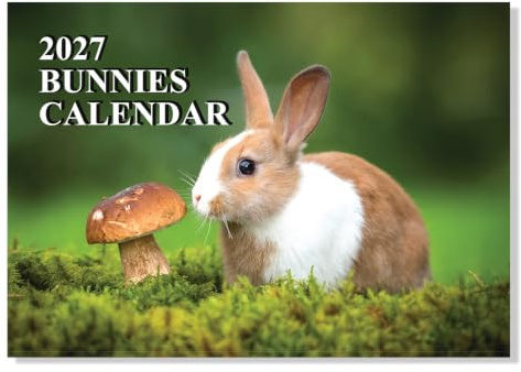 A4 Bunny Calendars 2027 12 Month to View Wall Calendar A3 When Open Rabbit Calendar 2027 Papa Prints