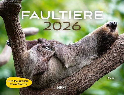 Faultiere Kalender 2026 Wandkalender: Tierkalender mit den charmanten Namen. Eintragkalender 2026