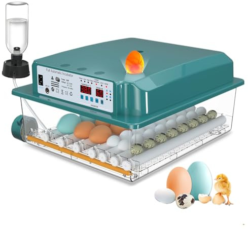 CoInceptus Incubadora Huevos Gallina, Incubadora de 24-36 Huevos con Volteo Automático de Huevos y Adición Automática de Agua, Incubadora con 4 Modos de Incubación Automáticos